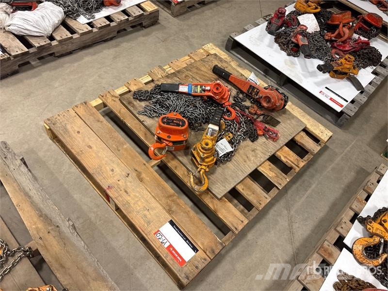 Quantity of (4) Miscellaneous Chain Hoists مكونات أخرى