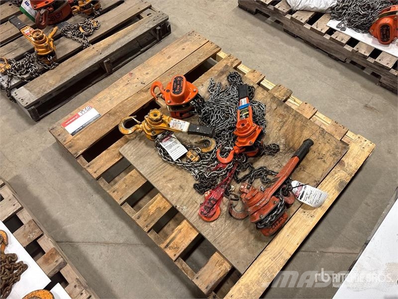Quantity of (4) Miscellaneous Chain Hoists مكونات أخرى