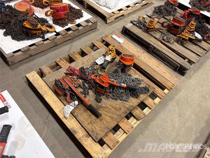 Quantity of (4) Miscellaneous Chain Hoists مكونات أخرى