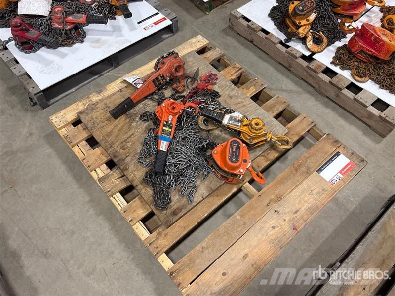 Quantity of (4) Miscellaneous Chain Hoists مكونات أخرى