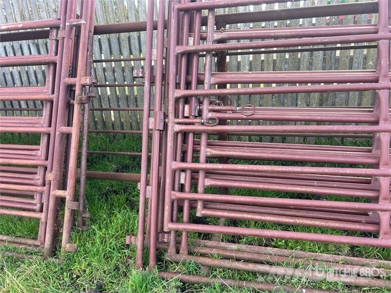 Quantity of (4) Stampede Steel 10 ft x 8 ft Over H Άλλα μηχανήματα κτηνοτροφίας και εξαρτήματα