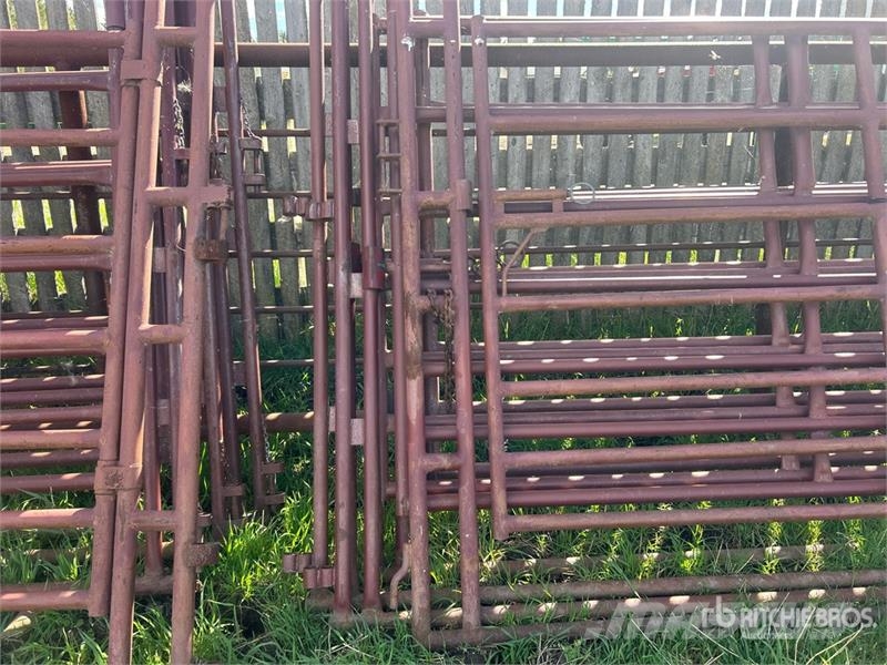 Quantity of (4) Stampede Steel Over Head Livestock Άλλα μηχανήματα κτηνοτροφίας και εξαρτήματα