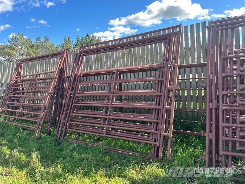 Quantity of (4) Stampede Steel Over Head Livestock Άλλα μηχανήματα κτηνοτροφίας και εξαρτήματα