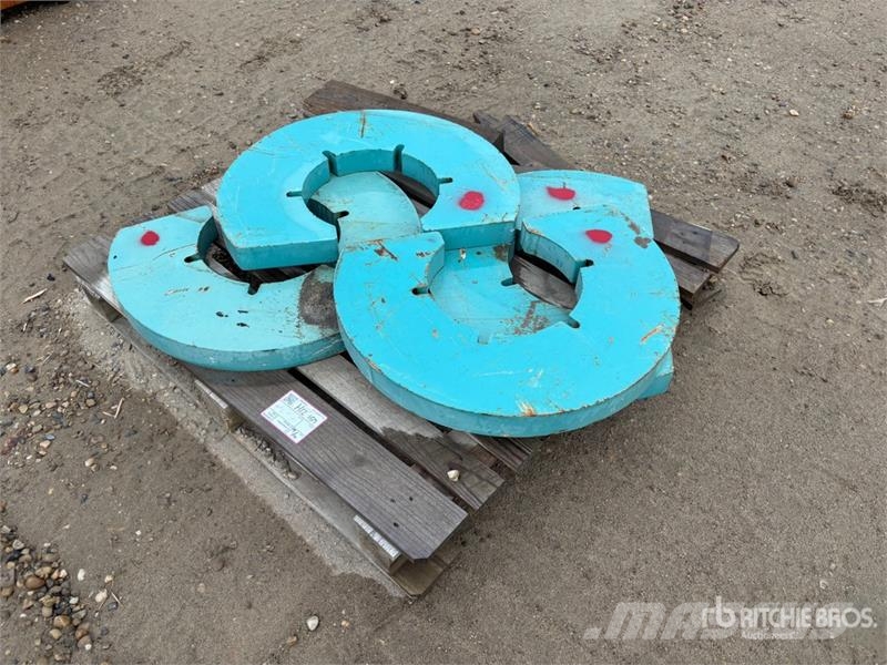 Quantity of (4) Weights Inne akcesoria