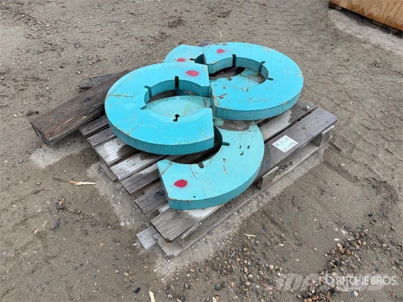 Quantity of (4) Weights Inne akcesoria
