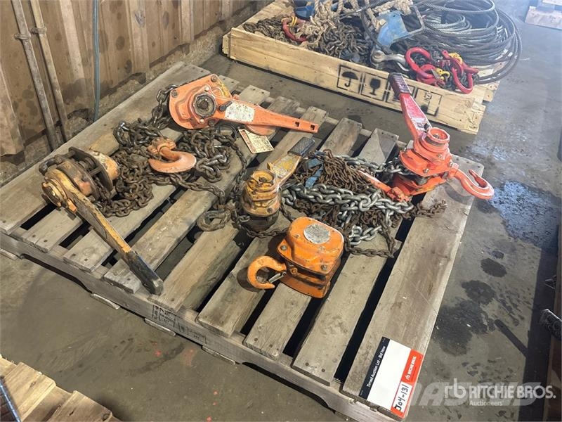 Quantity of (5) Chain Hoists Rigging Crane parts and equipment