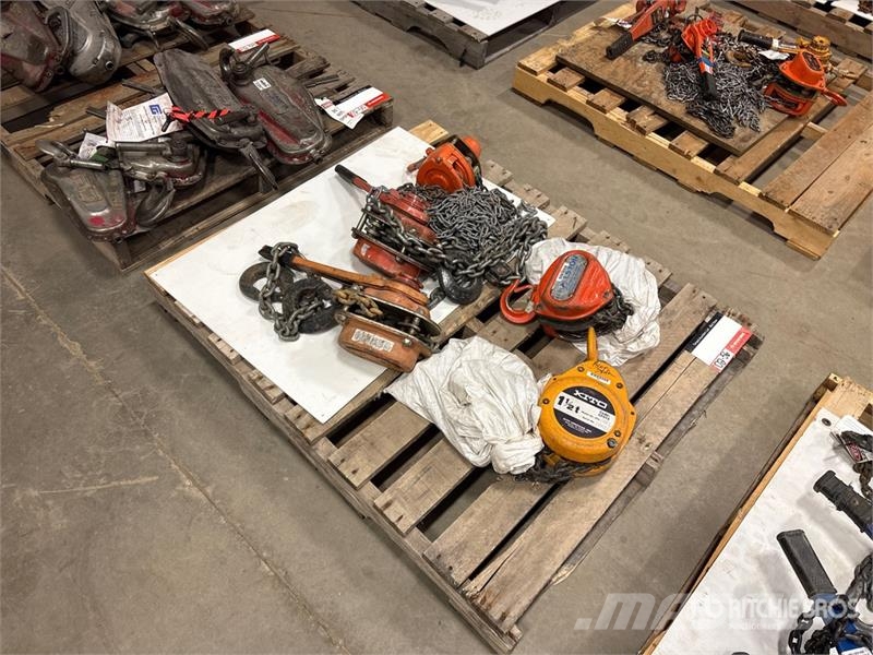 Quantity of (5) Miscellaneous Chain Hoists مكونات أخرى