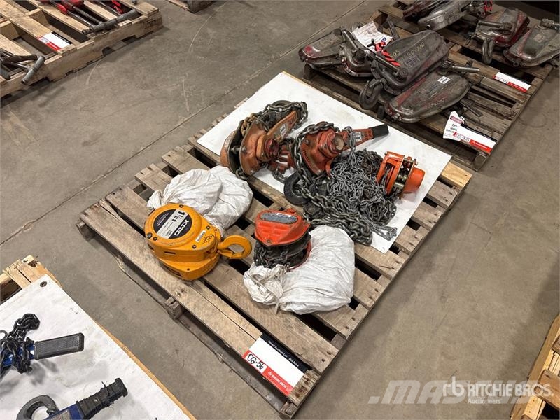 Quantity of (5) Miscellaneous Chain Hoists مكونات أخرى