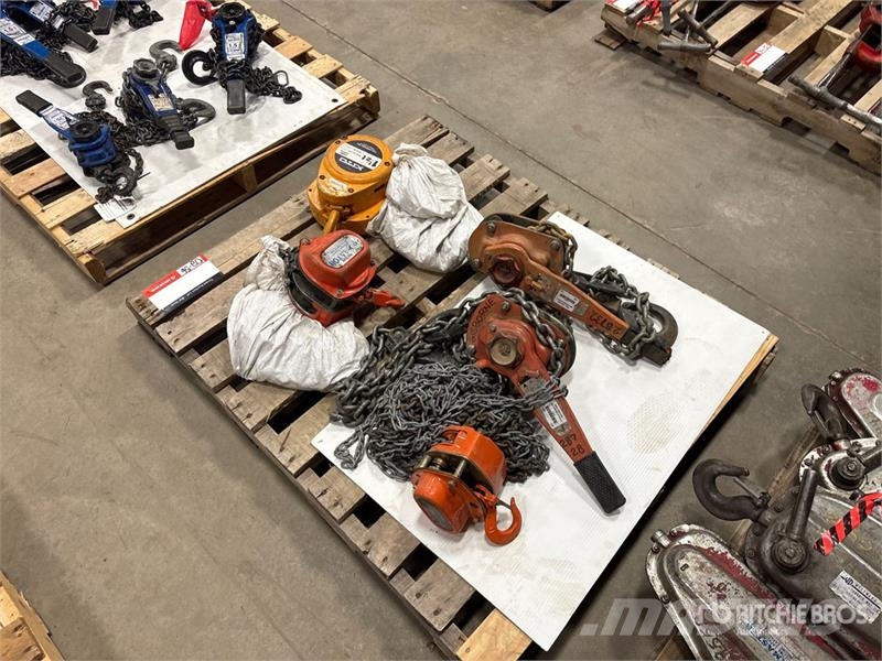 Quantity of (5) Miscellaneous Chain Hoists مكونات أخرى