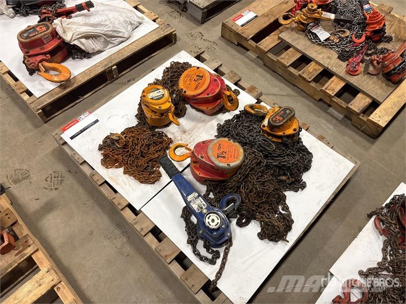 Quantity of (5) Miscellaneous Chain Hoists مكونات أخرى