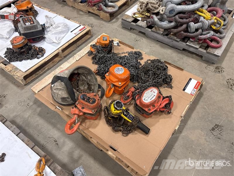 Quantity of (5) Miscellaneous Chain Hoists مكونات أخرى
