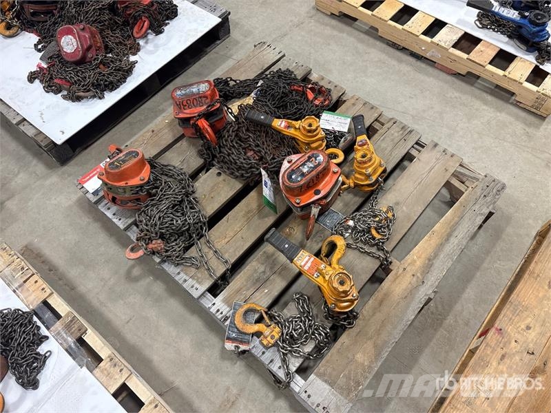 Quantity of (6) Miscellaneous Chain Hoists مكونات أخرى