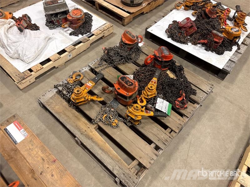 Quantity of (6) Miscellaneous Chain Hoists مكونات أخرى