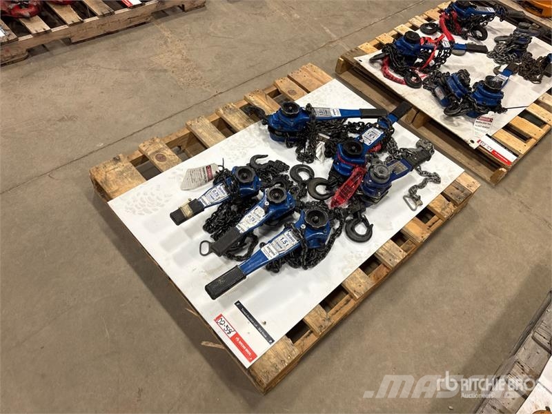 Quantity of (6) Miscellaneous Chain Hoists مكونات أخرى