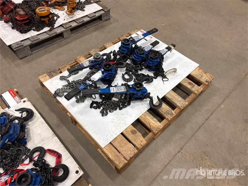 Quantity of (6) Miscellaneous Chain Hoists مكونات أخرى