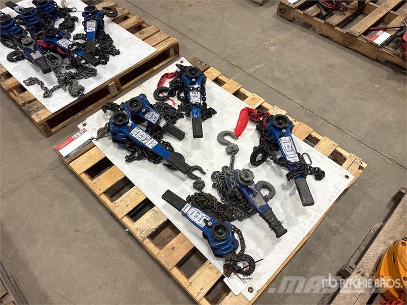  Quantity of (6) Miscellaneous Chain Hoists مكونات أخرى