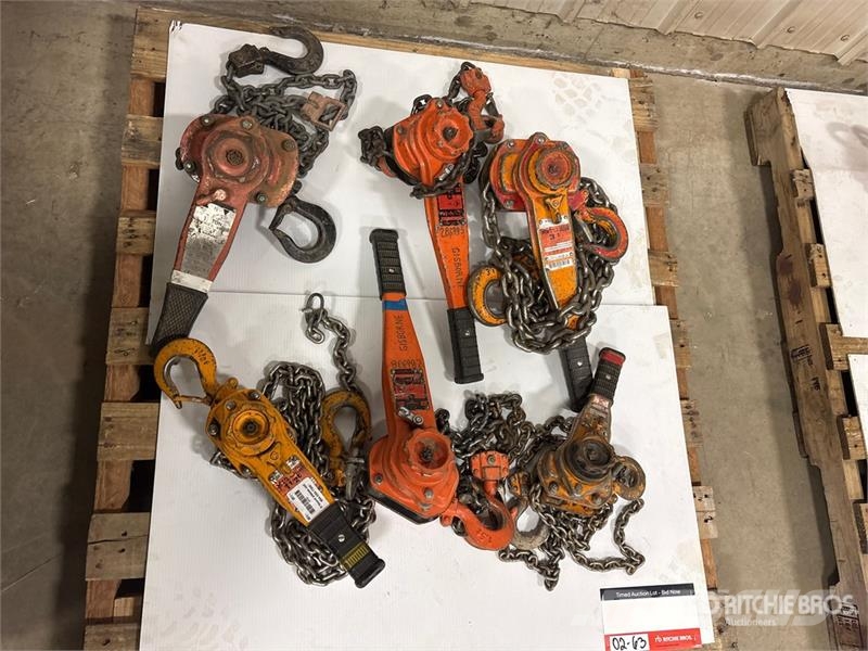 Quantity of (6) Miscellaneous Chain Hoists مكونات أخرى