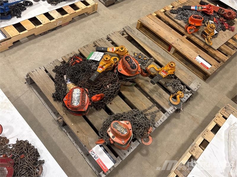 Quantity of (6) Miscellaneous Chain Hoists مكونات أخرى