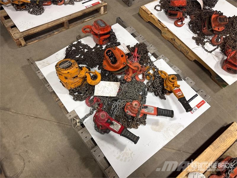 Quantity of (6) Miscellaneous Chain Hoists مكونات أخرى