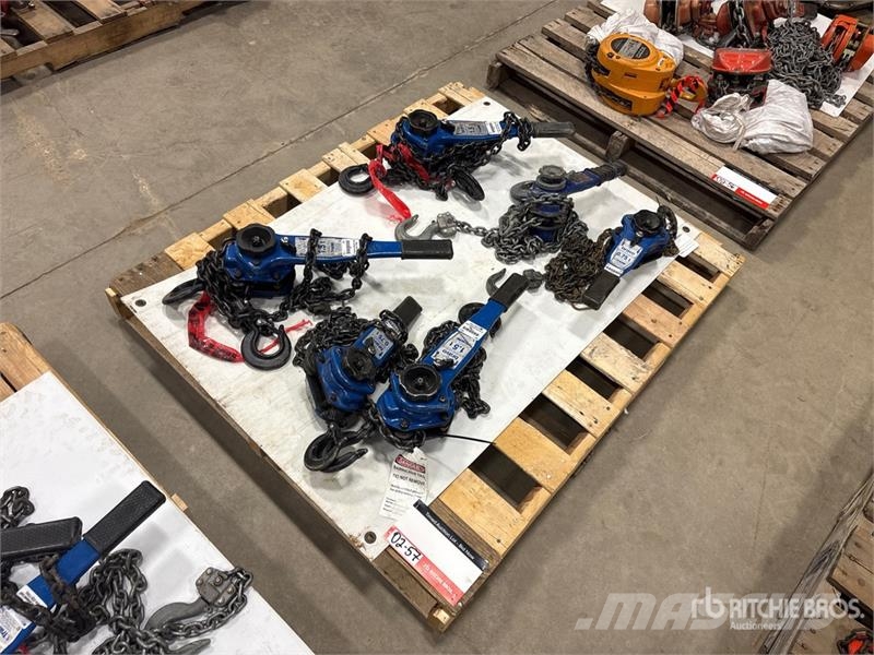  Quantity of (6) Miscellaneous Chain Hoists مكونات أخرى
