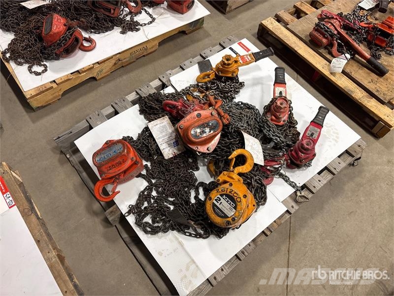 Quantity of (6) Miscellaneous Chain Hoists مكونات أخرى