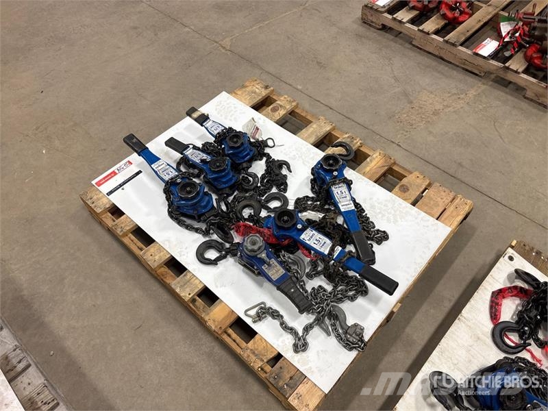 Quantity of (6) Miscellaneous Chain Hoists مكونات أخرى