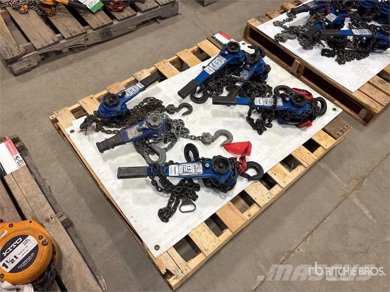 Quantity of (6) Miscellaneous Chain Hoists مكونات أخرى