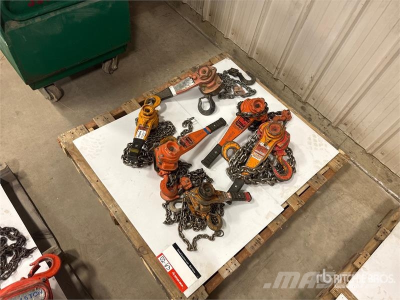 Quantity of (6) Miscellaneous Chain Hoists مكونات أخرى