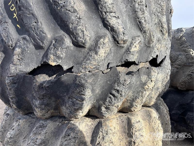  Quantity of (6) Skidder Tires الإطارات والعجلات والحافات