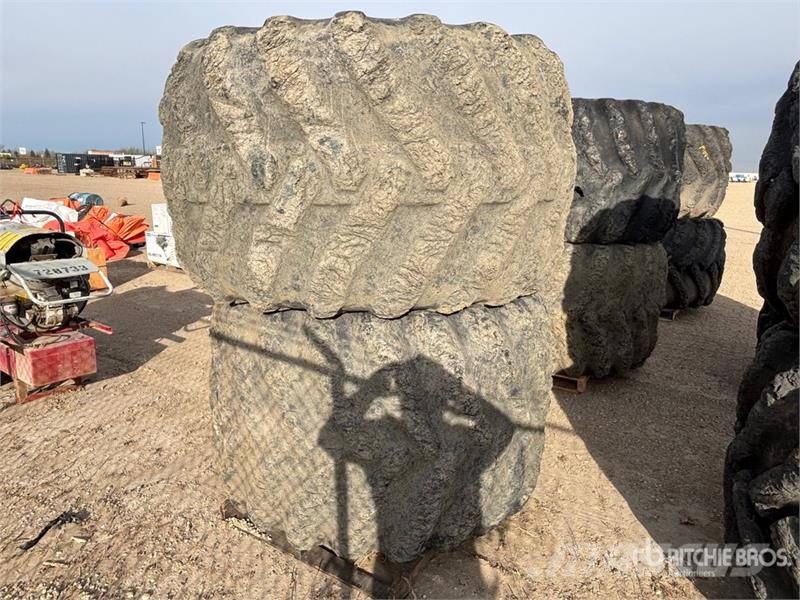  Quantity of (6) Skidder Tires الإطارات والعجلات والحافات