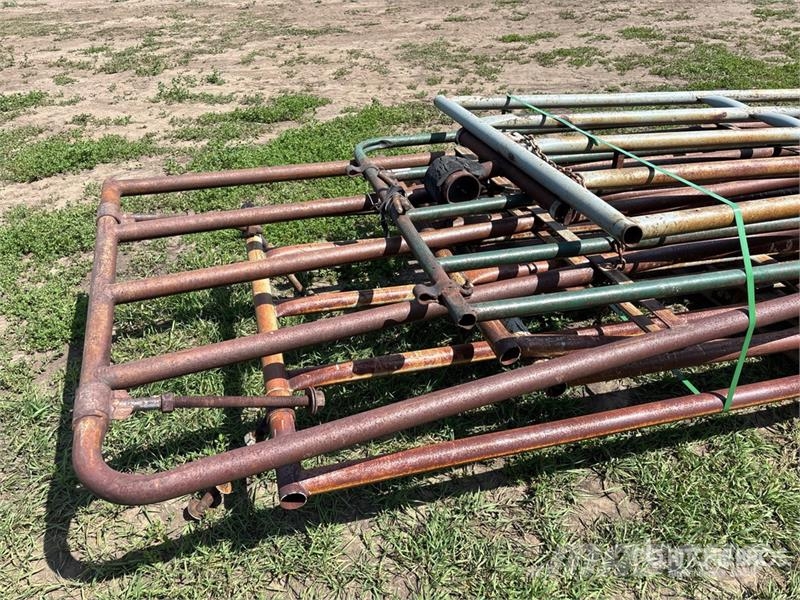 Quantity of (6) Swing Livestock Gate Overige veehouderijmachines