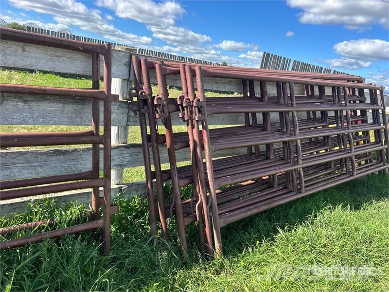 Quantity of (7) Stampede Steel 12 ft Heavy Duty Li Άλλα μηχανήματα κτηνοτροφίας και εξαρτήματα