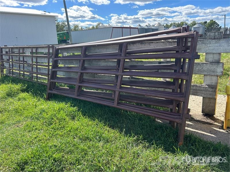 Quantity of (7) Stampede Steel 12 ft Heavy Duty Li Άλλα μηχανήματα κτηνοτροφίας και εξαρτήματα