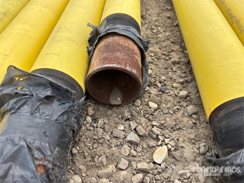 Quantity of (8) 3.5 in Steel Pipe 灌漑系統