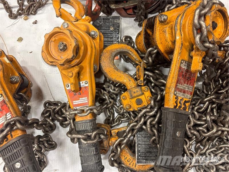 Quantity of (9) Miscellaneous Chain Hoists مكونات أخرى