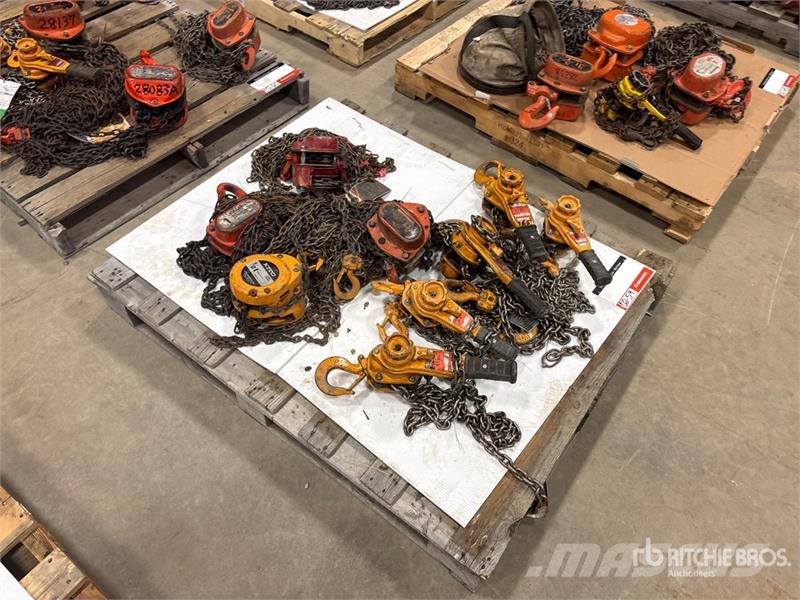 Quantity of (9) Miscellaneous Chain Hoists مكونات أخرى