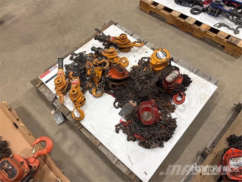 Quantity of (9) Miscellaneous Chain Hoists مكونات أخرى