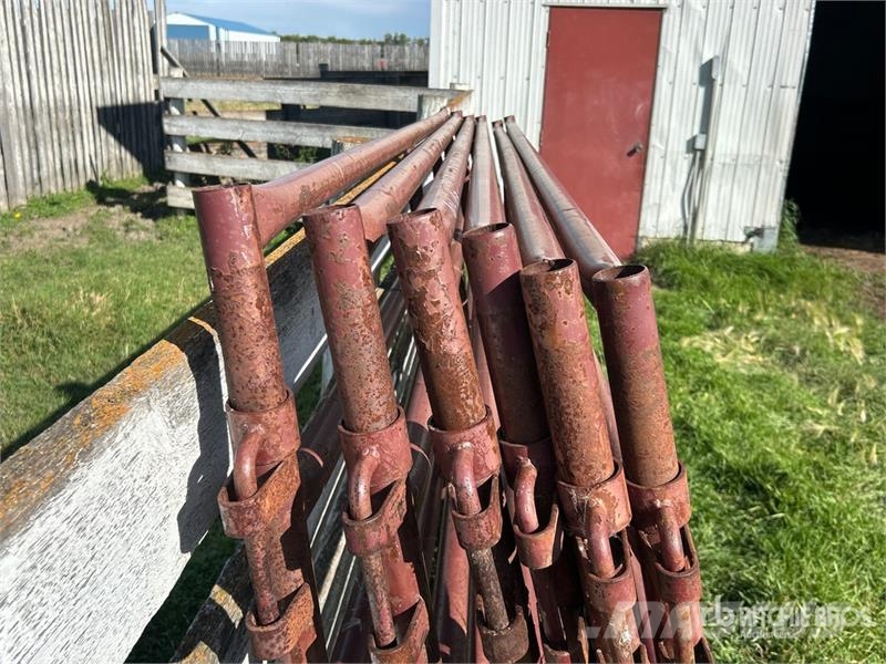 Quantity of (9) Stampede Steel 10 ft Heavy Duty Li Άλλα μηχανήματα κτηνοτροφίας και εξαρτήματα