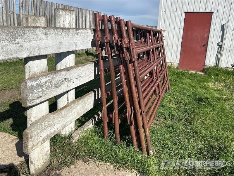 Quantity of (9) Stampede Steel 10 ft Heavy Duty Li Άλλα μηχανήματα κτηνοτροφίας και εξαρτήματα