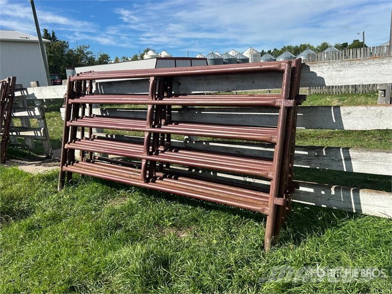 Quantity of (9) Stampede Steel 10 ft Heavy Duty Li Άλλα μηχανήματα κτηνοτροφίας και εξαρτήματα