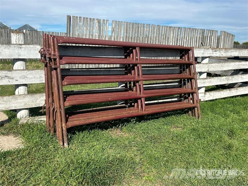 Quantity of (9) Stampede Steel 10 ft Heavy Duty Li Άλλα μηχανήματα κτηνοτροφίας και εξαρτήματα