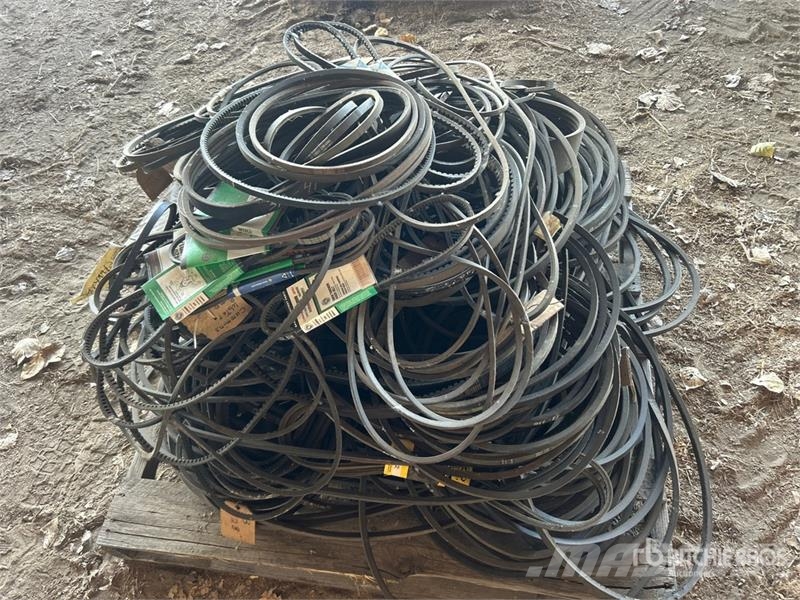 Quantity of Assorted Belts مكونات أخرى