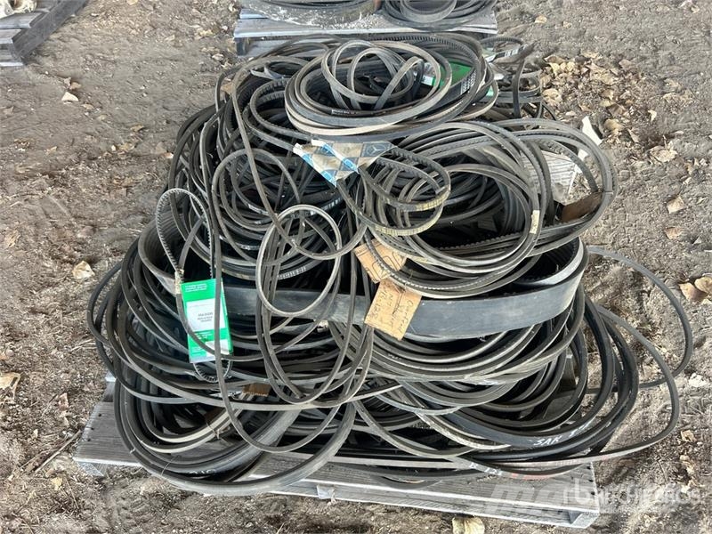 Quantity of Assorted Belts مكونات أخرى