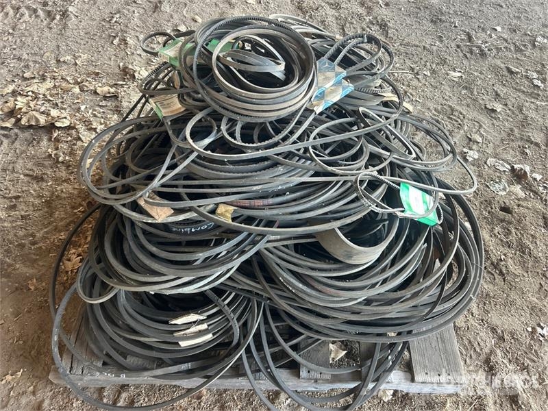 Quantity of Assorted Belts مكونات أخرى