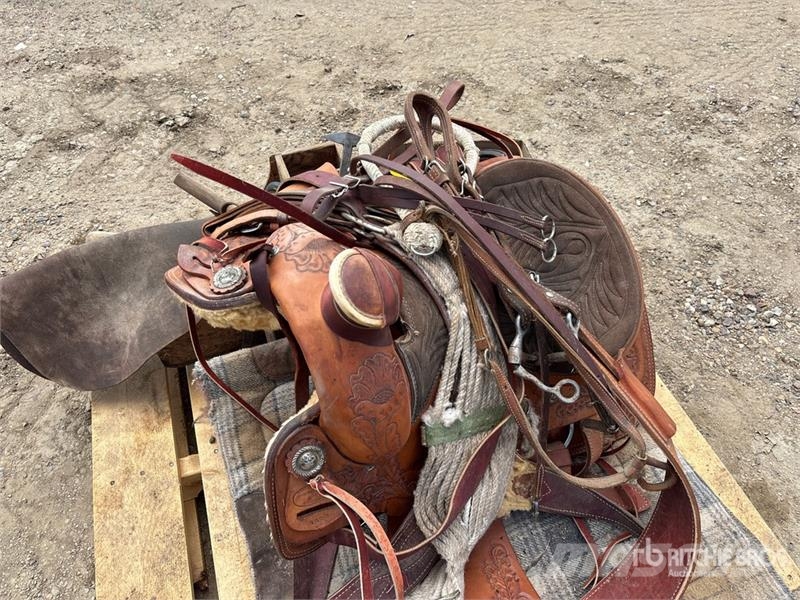 Quantity of Assorted Livestock Equipment Weitere Viehgeräte