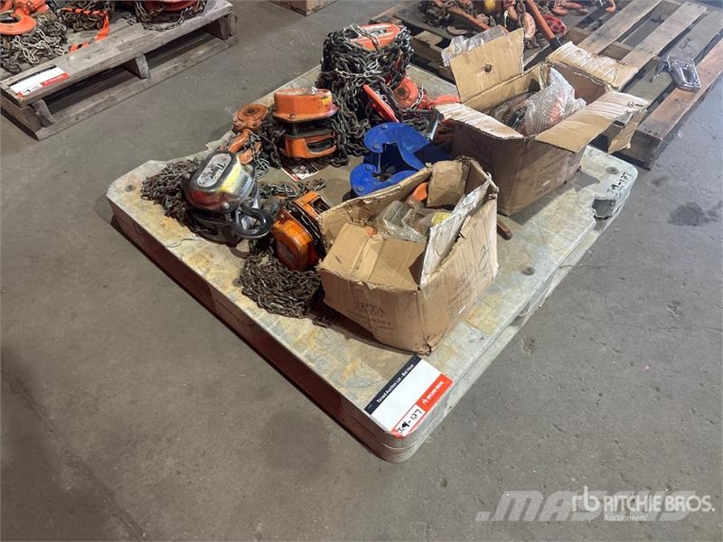 Quantity of Chain Hoists Crane Hook Crane parts and equipment