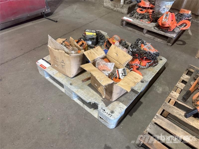 Quantity of Chain Hoists Crane Hook Crane parts and equipment