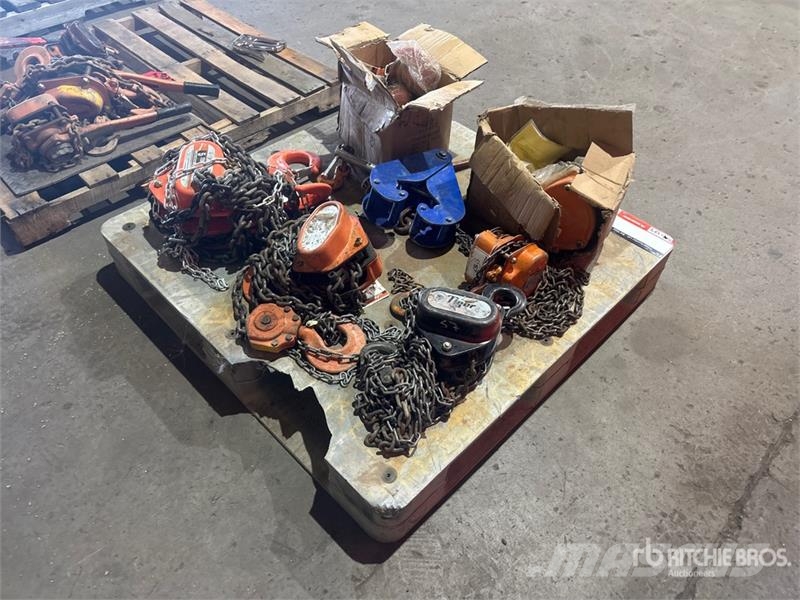 Quantity of Chain Hoists Crane Hook Crane parts and equipment