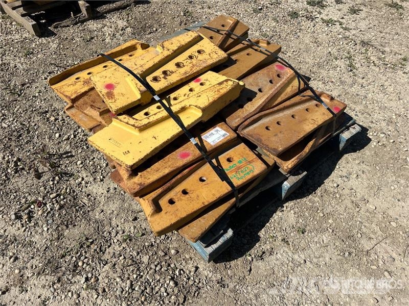 Quantity of Cutting Edge Transportes - Outros