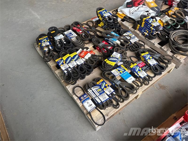 Quantity of Fan Belts (Unused) Transportes - Outros
